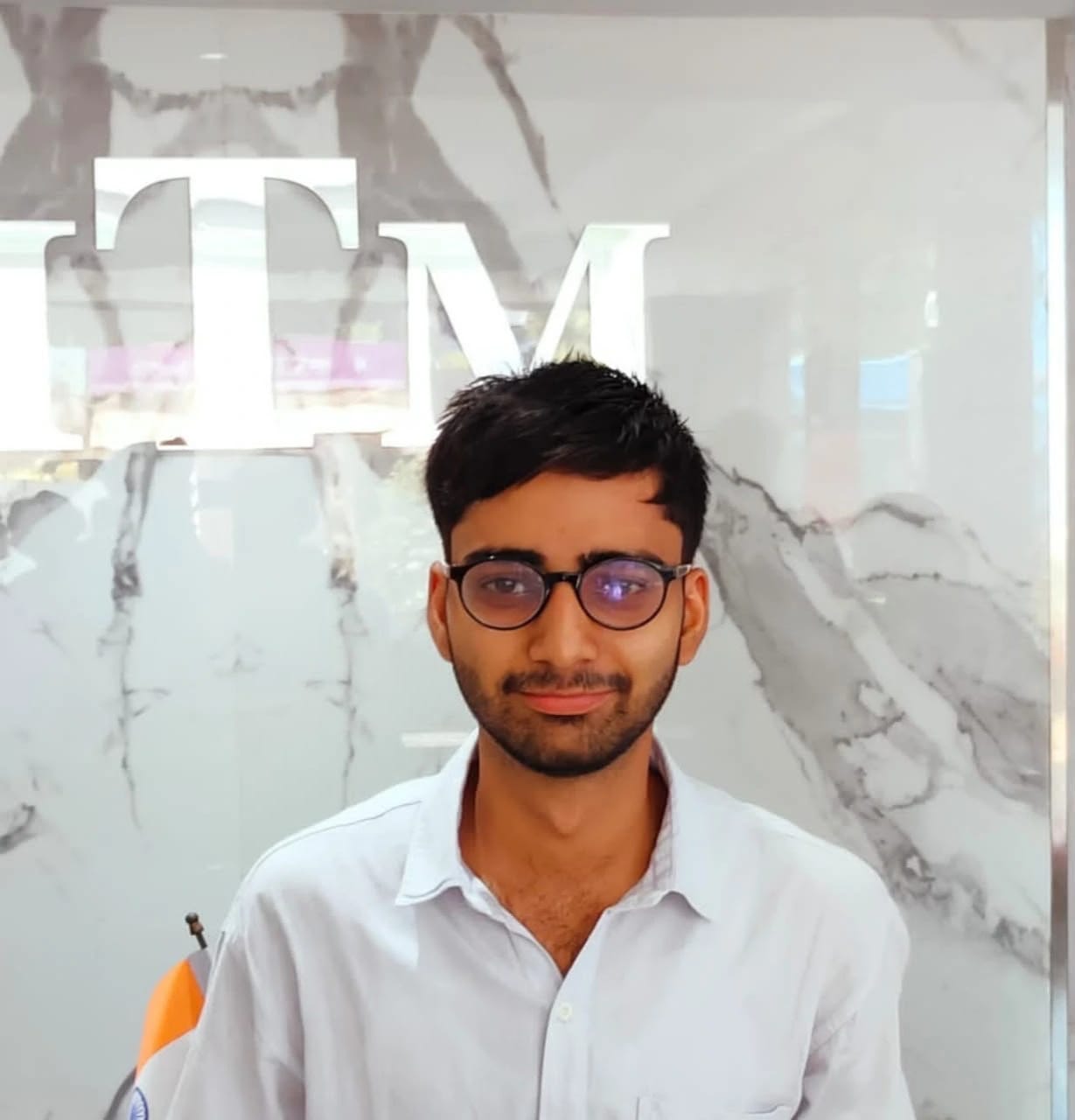 Portrait of Ashish Mittal